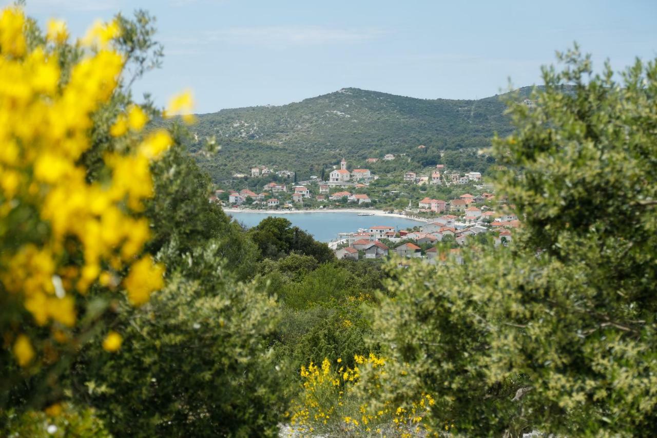Apartman Paula 1 Διαμέρισμα Vinišće Εξωτερικό φωτογραφία